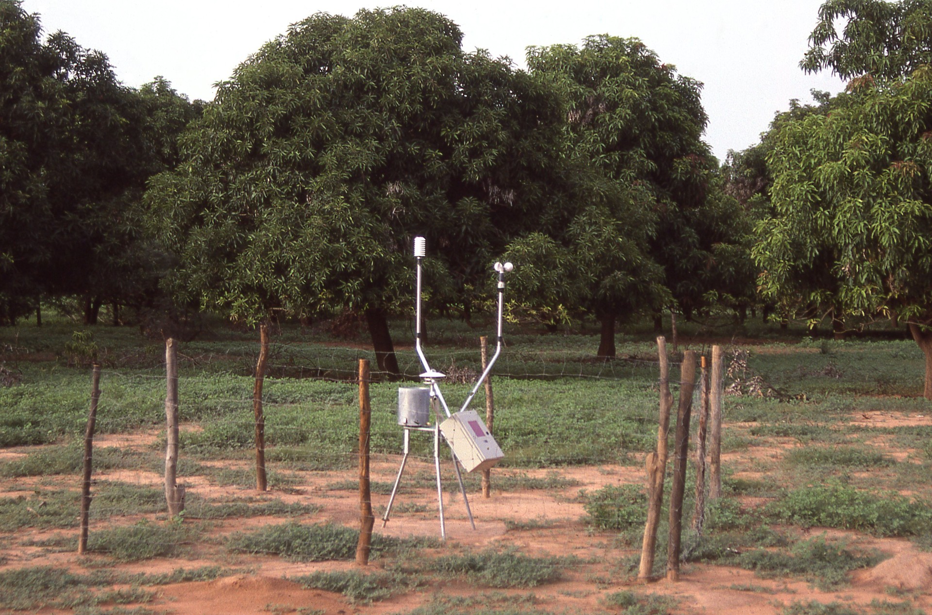 rain gauge weather station mango orchard Burkina Faso West Africa